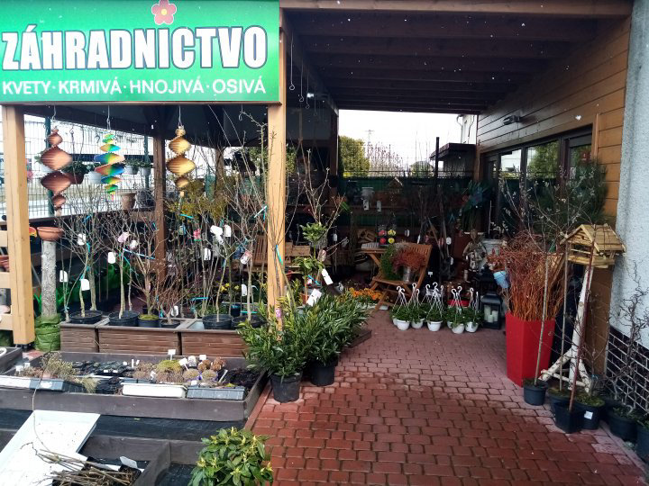 Staškov, Staškov 393